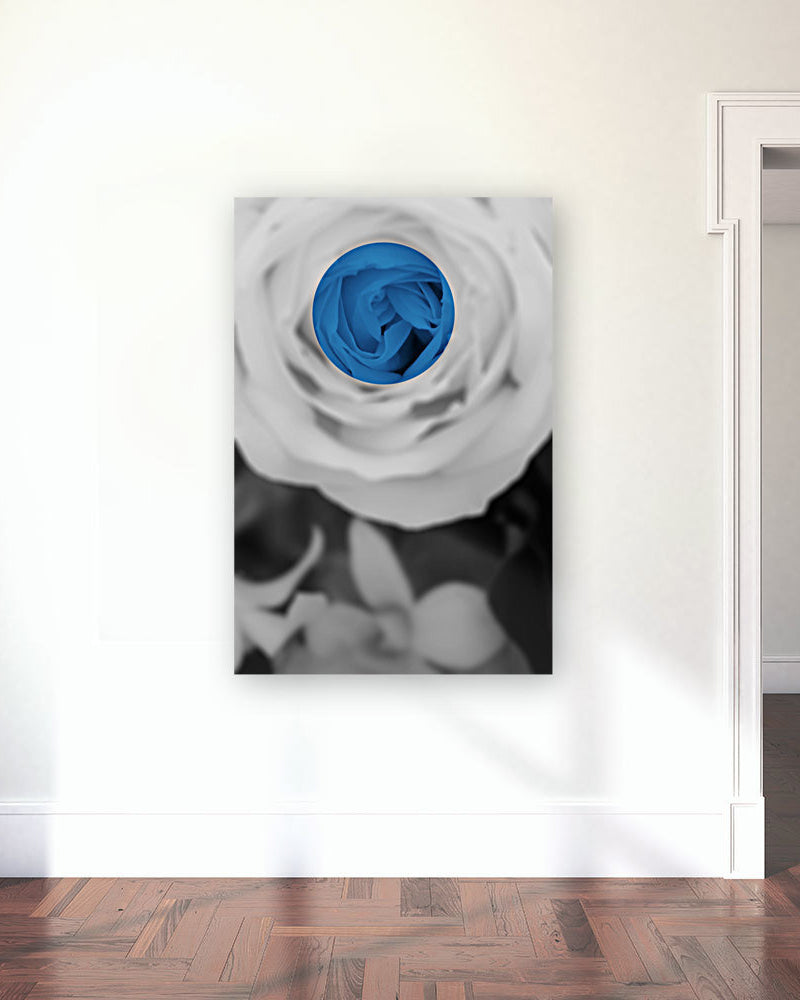 "Looking Glass 6" Limited Edition Canvas Print