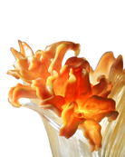 LIULI Crystal Art Crystal Flower, Crystal Lily, "Lily In Harmony" in Amber Powder