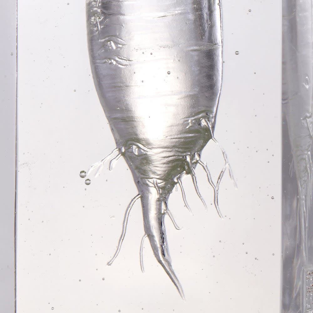 LIULI Crystal Art Crystal Kitchen Decor, Daikon, "Tomorrow is Mine" Sculpture