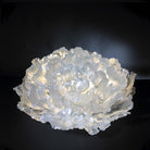 LIULI Crystal Art Crystal Peony "The Proof of Awareness" (Collector's Edition) Limited Edition